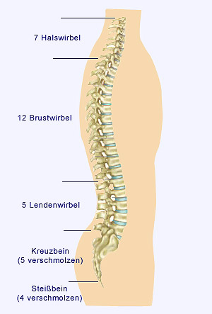 Dorn & Breuß: sanfte Wirbelsäulen- und Gelenktherapie | Heilpraxis Rita ...